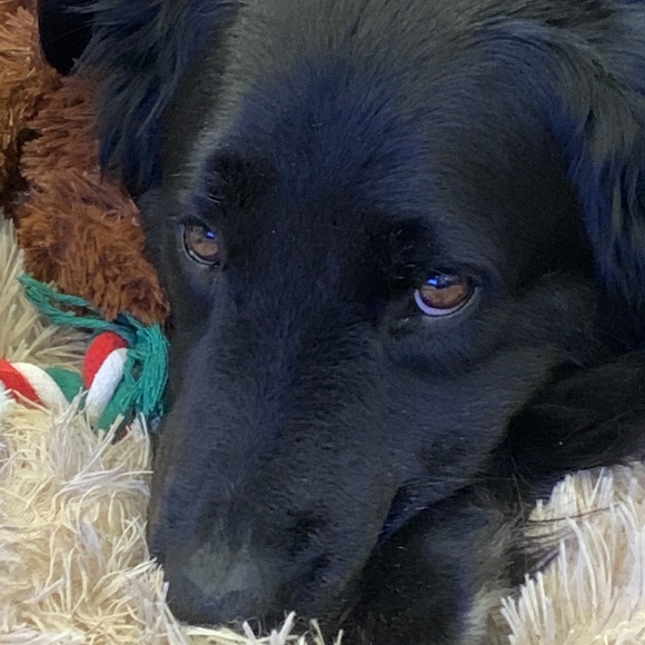 Meet your Posher, Beth - Picture 1 of 1